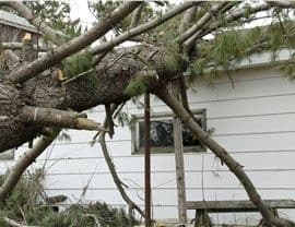 Emergency Roof Repairs