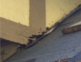 Past Projects - Meridian Charter Township, MI