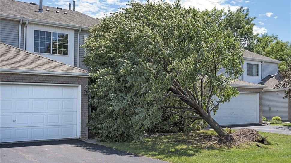 Emergency Roofing