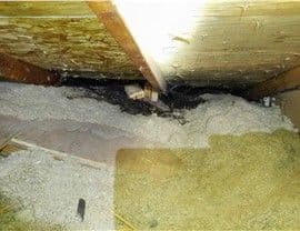 Past Projects - Dansville, MI