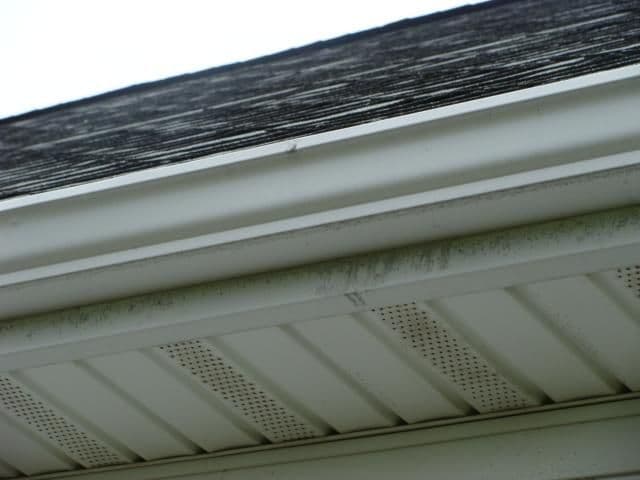 dsc01048