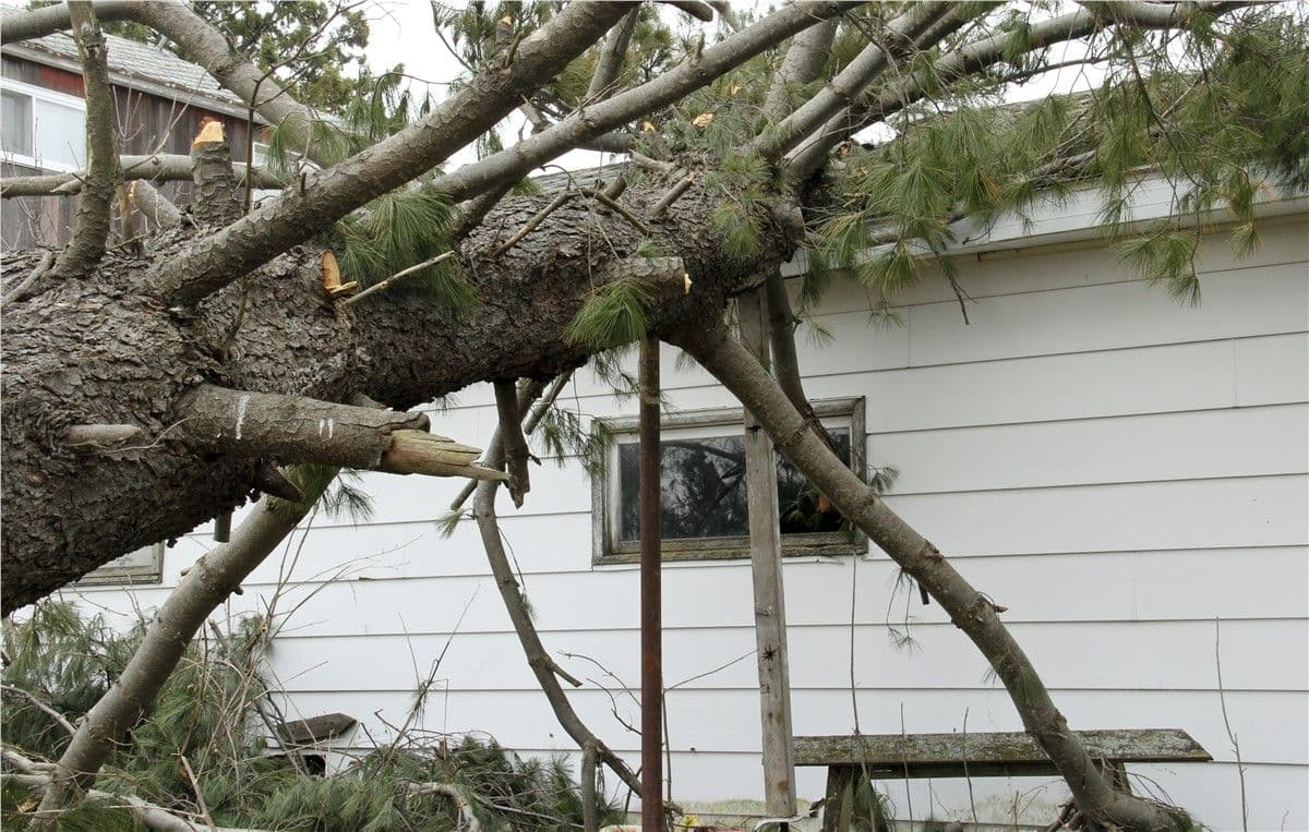 Storm Damage