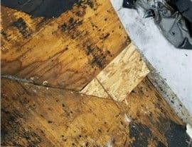 Past Projects - Dansville, MI